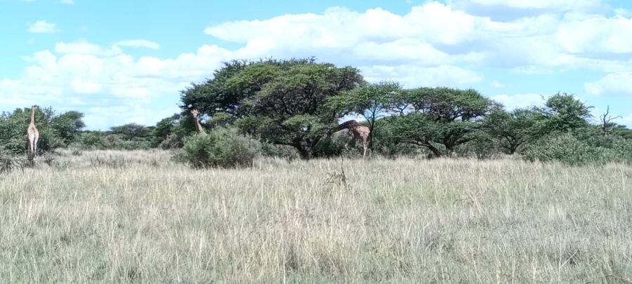 10 Bedroom Property for Sale in Boshof Free State